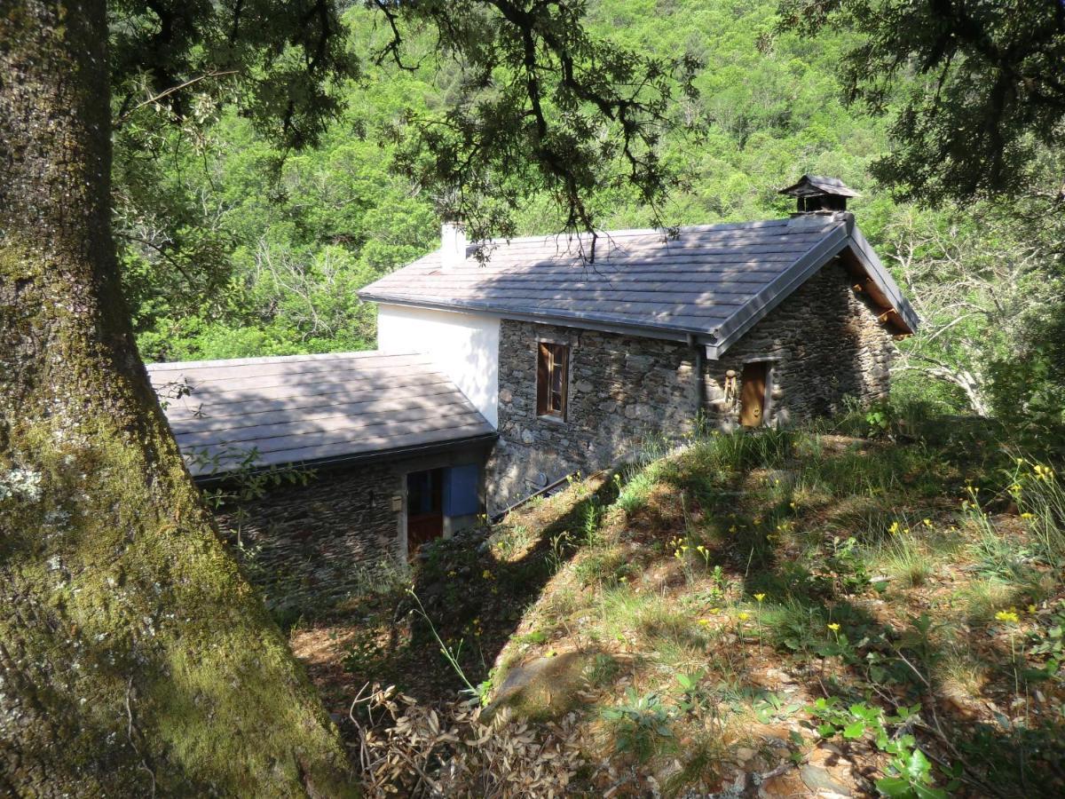 Transgardon B&B en Cévennes Saint-Privat-de-Vallongue Exterior foto