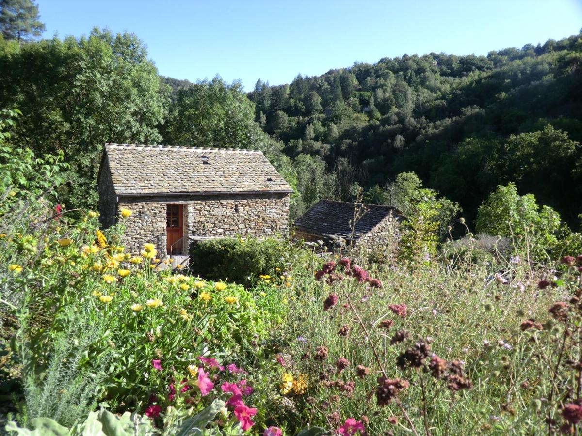 Transgardon B&B en Cévennes Saint-Privat-de-Vallongue Exterior foto